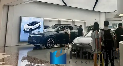 鸣人和纲手的温泉之战：汽车未来：传统与创新之战-3