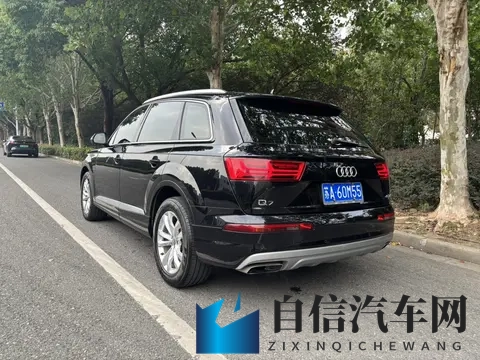 毛多浓密Hairy高清：汽车内饰新潮流：高清材质打造豪华触感-2