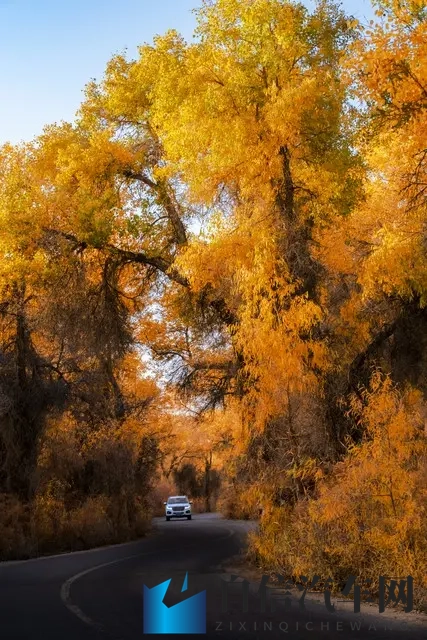 无人车来了，以后还需考驾照吗？-3