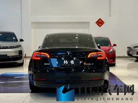 几个菜钱就能圆“特斯拉梦”？21年Model3抄底价！-1