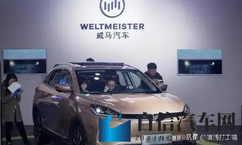 威马烧光410亿,创始人跑路,美泰东南亚复活?新能源汽车圈要变天了-3