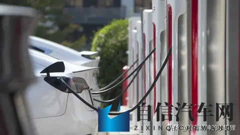 特斯拉因“安全”问题被温哥华国际车展除名-1