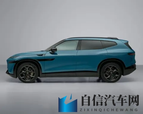 “金标大众”新旗舰曝光 与众08明年上市-3