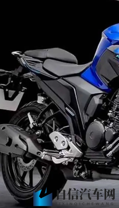 雅马哈飞致250复出 拼的不是马力 是省油能走天下的底气-2