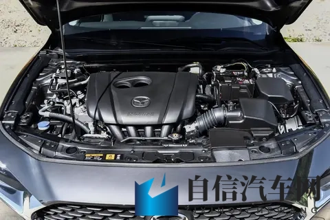 男女差差APP：性别差异互动平台-2