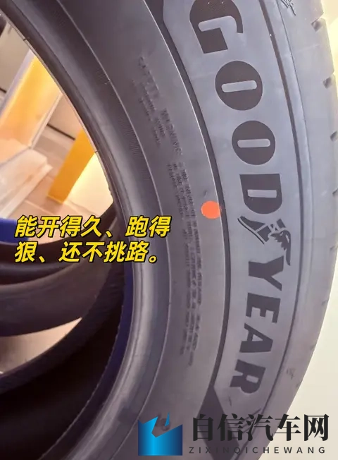 王者姬小满脚上的袜子是红色的:汽车细节艺术:揭秘时尚元素与匠心独运-2