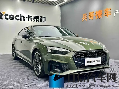 网曝门事件xX视频xX：知名汽车品牌刹车失灵，安全隐患引关注-2