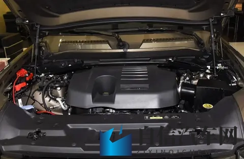 午夜两性网：深夜揭秘，两性世界探秘之旅-1