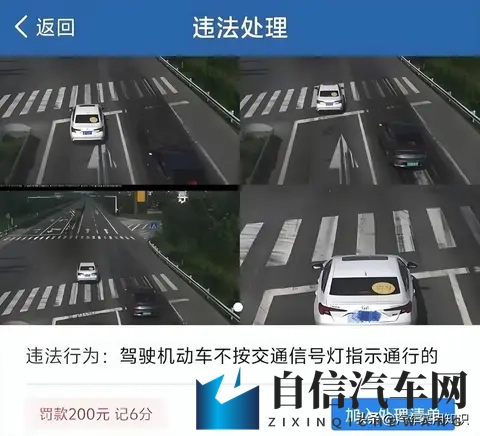 开车不小心闯红灯了怎么办?车主:后悔现在才知道!-1