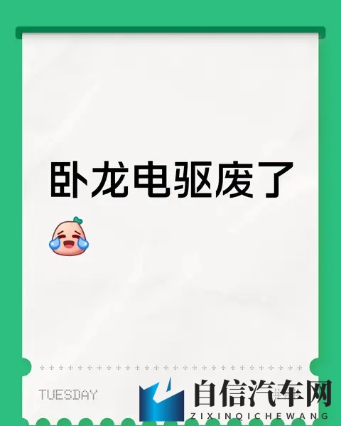 “卧龙电驱废了”？这波调整里，藏着行业和公司的真问题-1