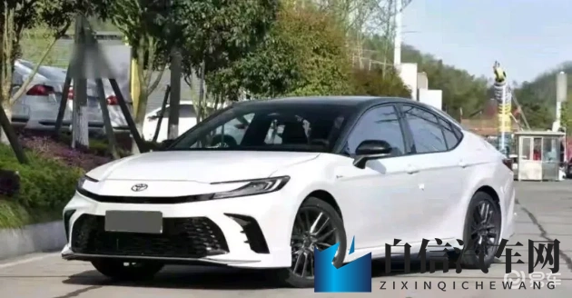 搞鸡巴软件：智能驾驶辅助系统，革新未来出行潮流-1