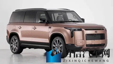 Polestones Adamas国内首秀，增程SUV市场再添新选择-2