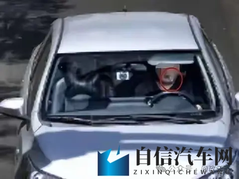 无锡男子开车叼牙线被罚，网友吵翻！-2