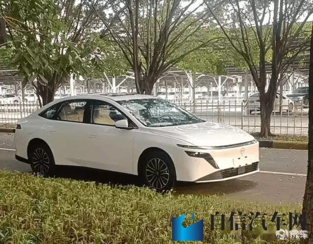 男生和女生打扑克的软件：男女欢乐斗地主，扑克娱乐软件精选-1