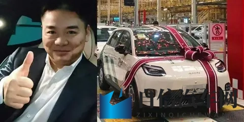 肉感爆乳一区二区三区:性感丰腴,分区精彩呈现-2