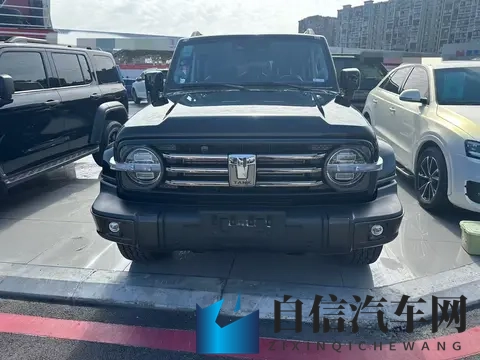 硬派越野触手可及,3万公里一手坦克300,圆你越野梦-1