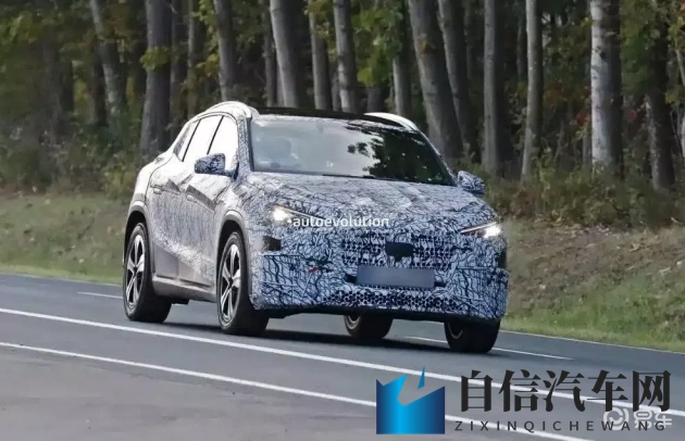 白鹿哭着说不能再快乐了：泪洒白鹿哀叹，欢颜难再展-1