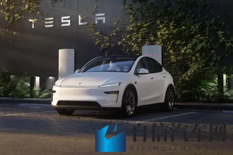 爆冷！10月纯电车销量：Model Y滑出前5，银河E5第17，AION Y第47！-1