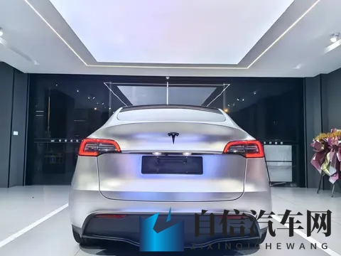 15万多拿下特斯拉Model Y，圆你电车梦？-2