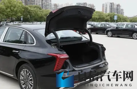 黄色软件下载opop：汽车软件下载新选择，OPOP平台一站式服务-2