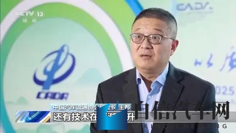 新能源车的“免费午餐”要结束了？别慌，这其实是件大好事！-3