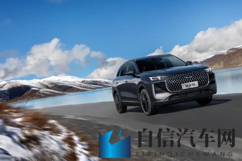 限时抢鲜价929万元起，第五代瑞虎8上市！-3