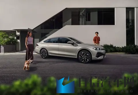 2024黄色软件：2024年度禁限软件盘点-1