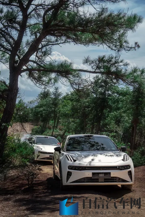 男人捅女人鸡鸡：全新概念车惊艳车展，颠覆想象驾驶体验-3