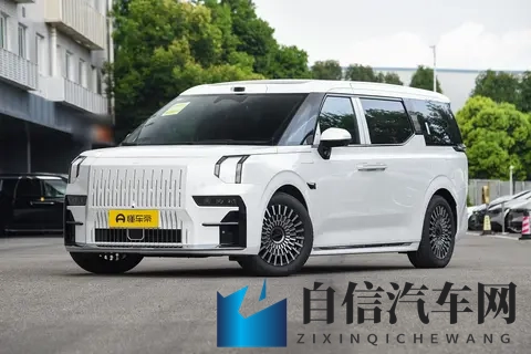 极氪 009：动力多样、充电高效，家用、商用均可选-1