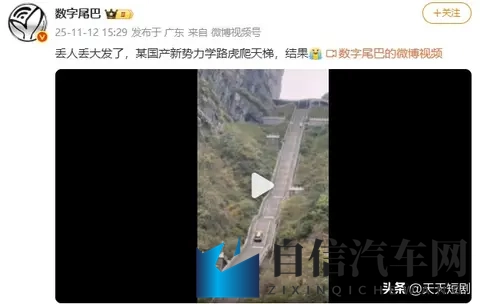 奇瑞天门山翻车:比失控的汽车更可怕,是失控的欲望-3