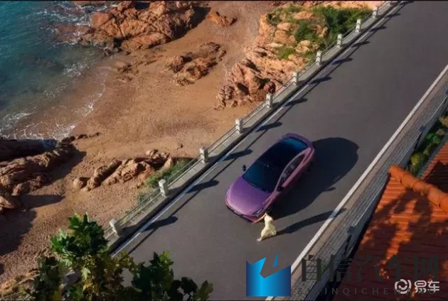 韩国色情网站：韩国成人网站内容揭秘-1