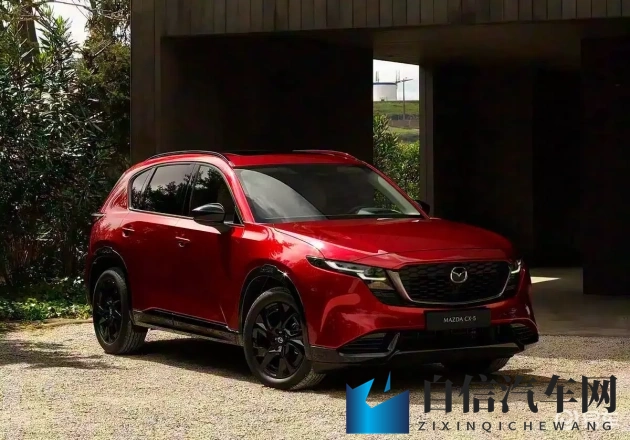 小小拗女性BBW：娇小固执女性独特魅力-1