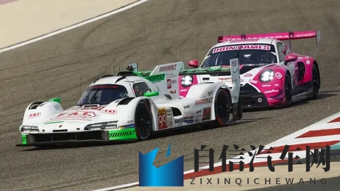精彩纷呈！保时捷斩获2025年WEC厂商季军-2