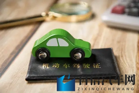 国产毛茸茸：汽车新潮流：毛茸茸设计成新亮点-2