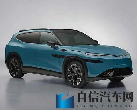 金标大众第二款车型亮相，销量依旧是最大障碍？-2