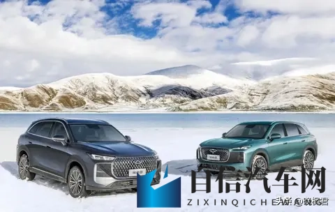 国产SUV卷出新高度，9万买20T级动力,第五代瑞虎8成低价高配代表-2