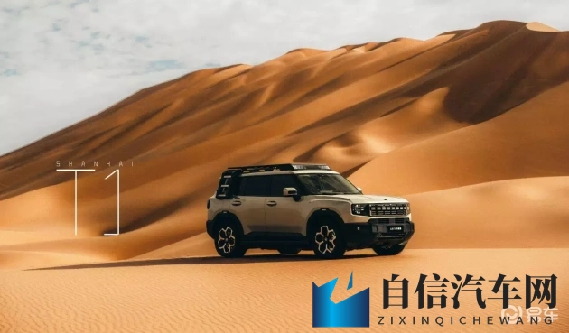 福利导航视频：汽车行业大揭秘：新车政策技术全解析-2