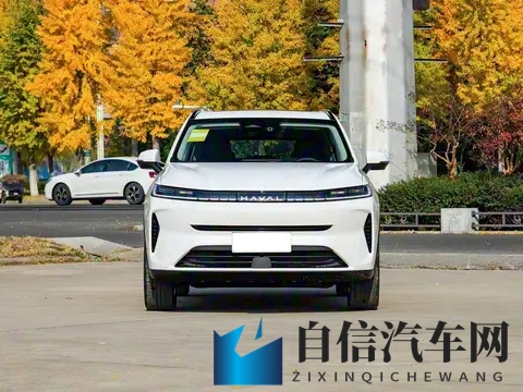 哈弗H6L 11月18日上市，比H6长了155mm，前脸大改，升级为中型SUV-3