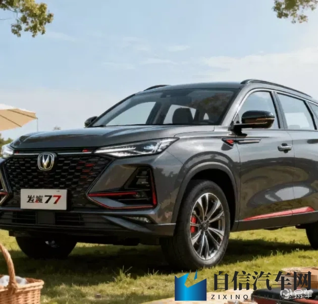 丁丁一进一出：高端车型新风向，时尚智能环保领航-2