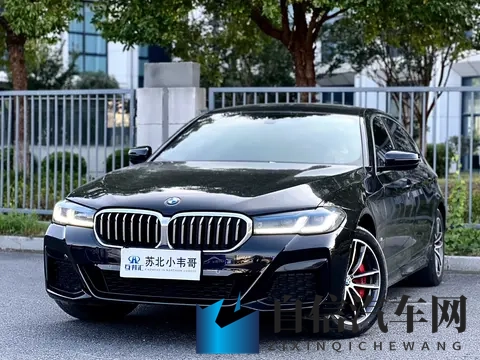 婷婷五月天丁香花：汽车美学新风尚：丁香花元素如何重塑车界风采-3