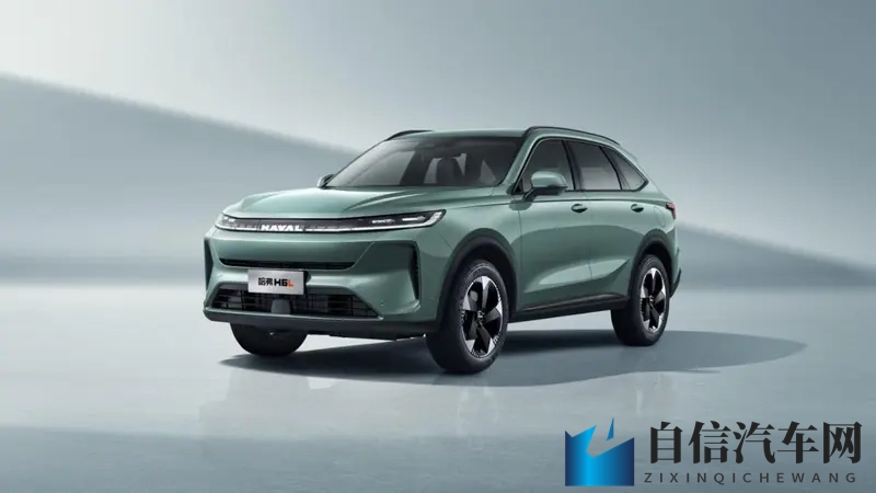哈弗 H6L：把五座变大、把价格压在十万级-1