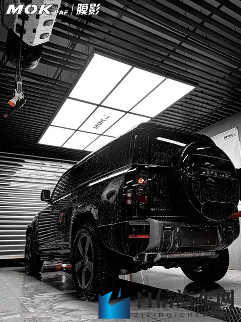 为什么黑色车贴车衣的更多?-1