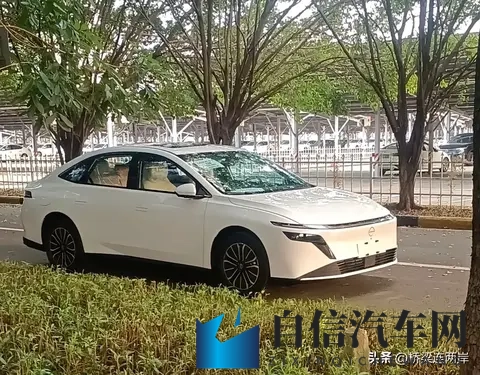 一小孩和妈妈摘萝卜还喊游戏：童趣满满，母子共摘萝卜欢声笑语-2