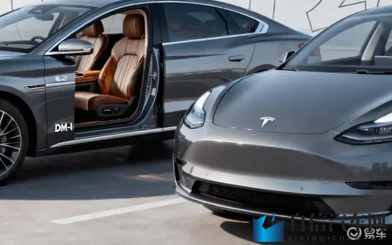 高岭家两姐妹动漫免费观看：《高岭姐妹动漫片源，免费畅享无门槛》-2