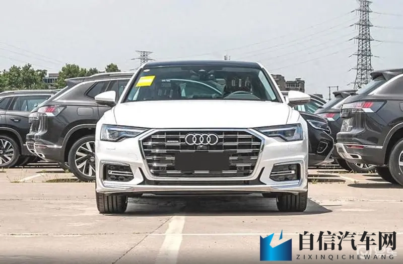 绿帽吃情夫精夜：新能源汽车崛起，引领绿色出行新潮流-2