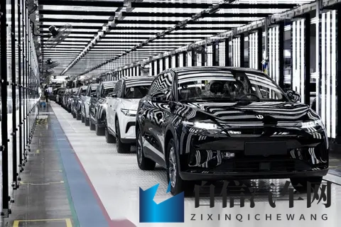 大菠萝福利站：新能源汽车热销，特斯拉Model 3领跑市场-2