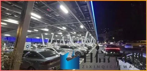 色多多网站：色彩缤纷的网站，海量内容等你探索-3