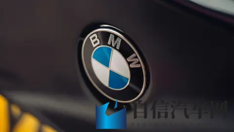 韩国一区:汽车市场风云:现代宝马争锋,新能源汽车崛起-3