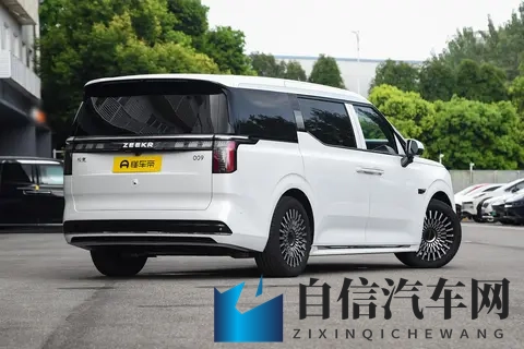 置换金10000元，还有全家度假豪礼，极氪009凭啥这么火？-1