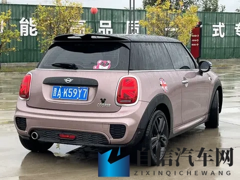 大号BBWBBWBBwBBW：探寻独特BBWBBWBBwBBW之谜-2